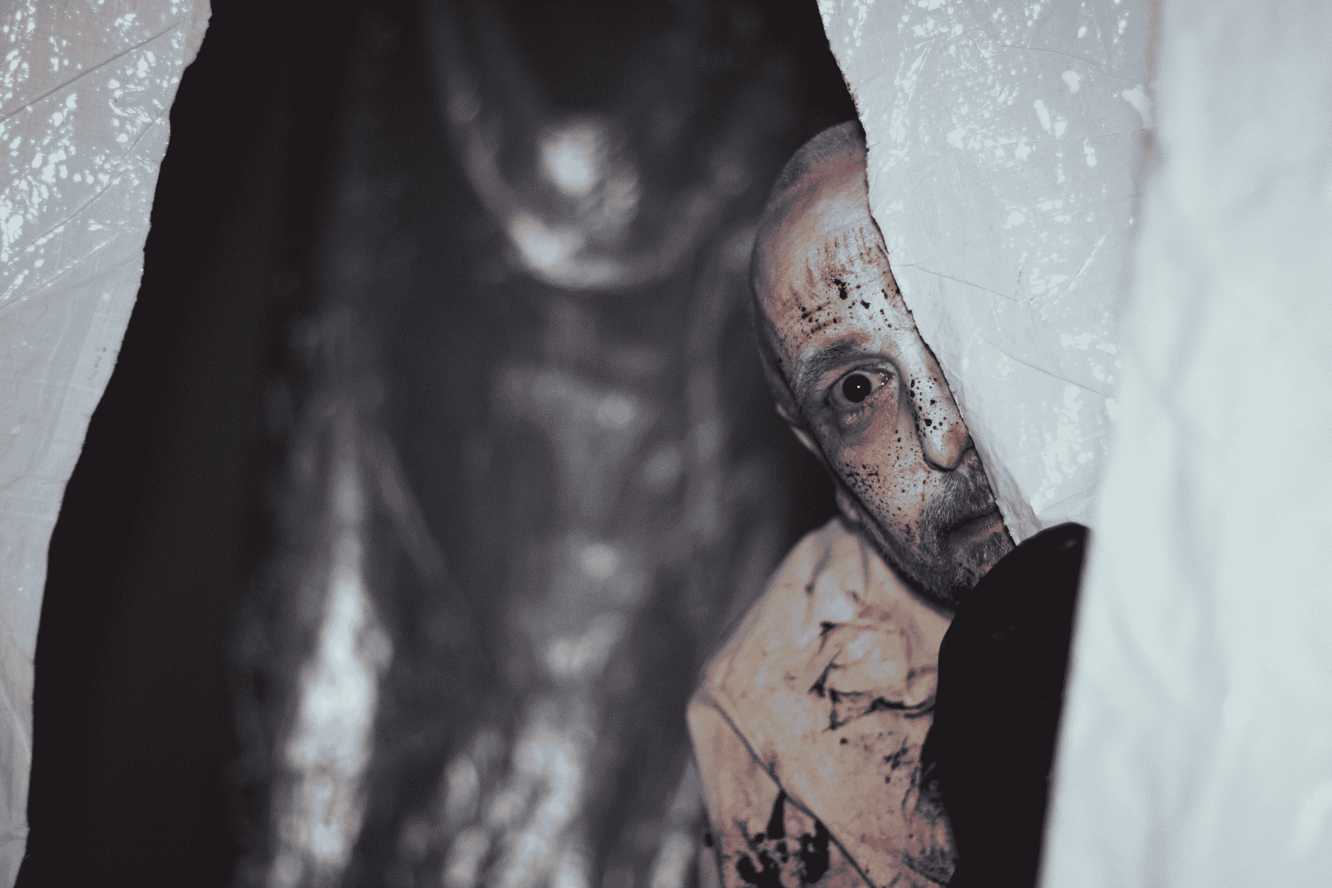 Norfolk scare attraction partners